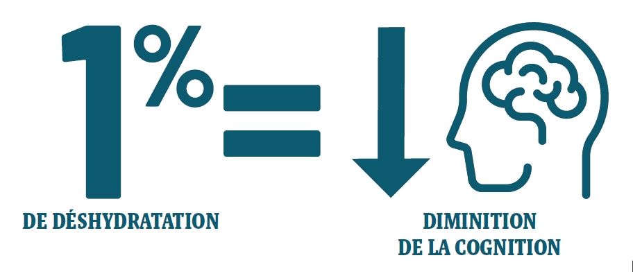 St-Yorre hydratation